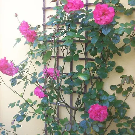St Anthony's Bed and breakfast