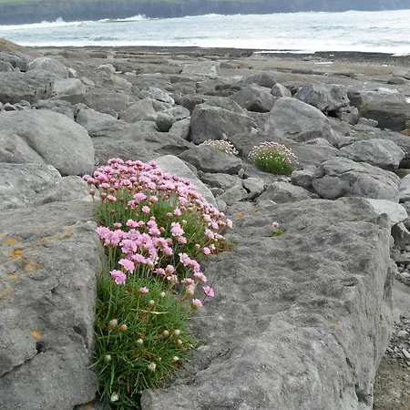 St Anthony's * Doolin