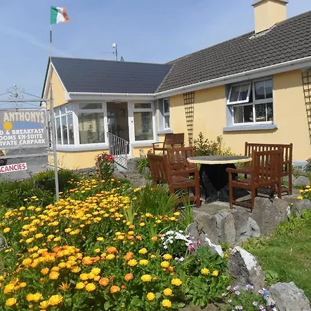 Bed & Breakfast St Anthony's *