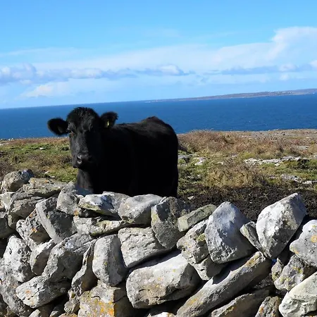 St Anthony's * Doolin
