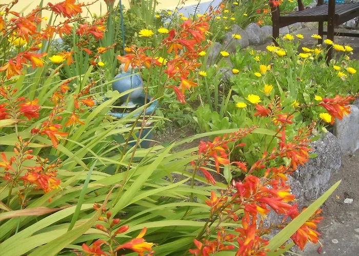 St Anthony's Alojamento de Acomodação e Pequeno-almoço