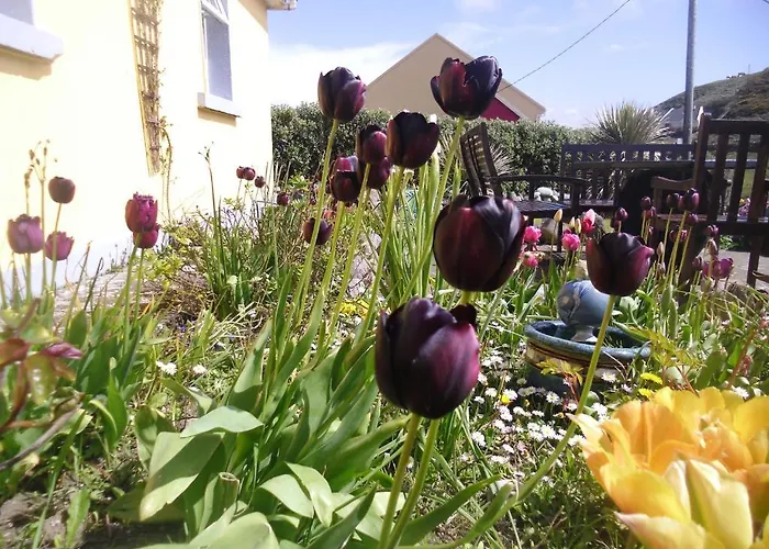 Alojamento de Acomodação e Pequeno-almoço St Anthony's Doolin