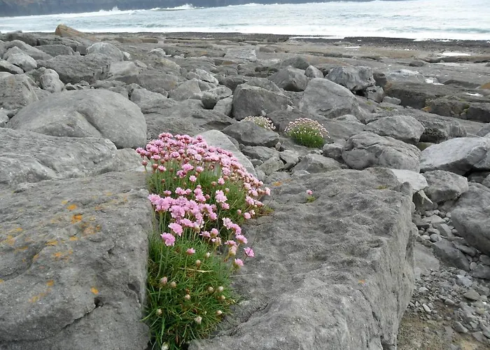 St Anthony's * Doolin