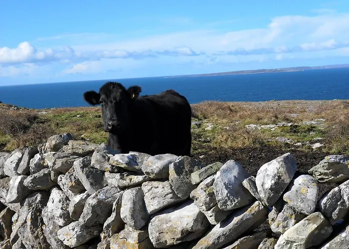 St Anthony's * Doolin