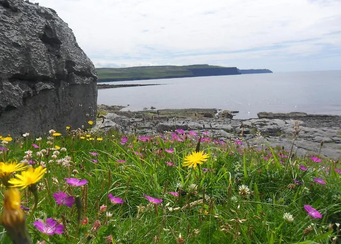 St Anthony's Alojamento de Acomodação e Pequeno-almoço Doolin