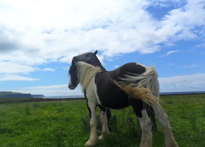 St Anthony's Alojamento de Acomodação e Pequeno-almoço *