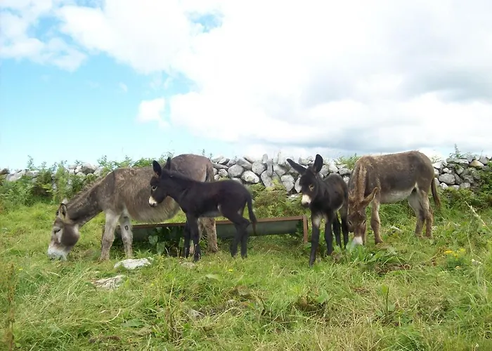 St Anthony's * Doolin