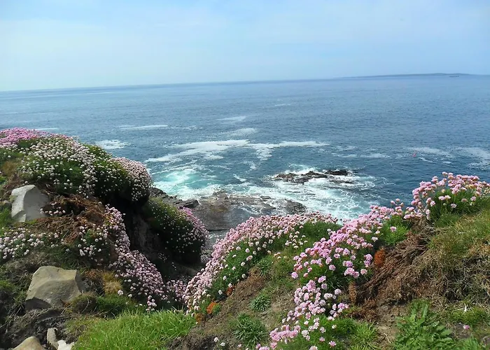 St Anthony's Alojamento de Acomodação e Pequeno-almoço Doolin